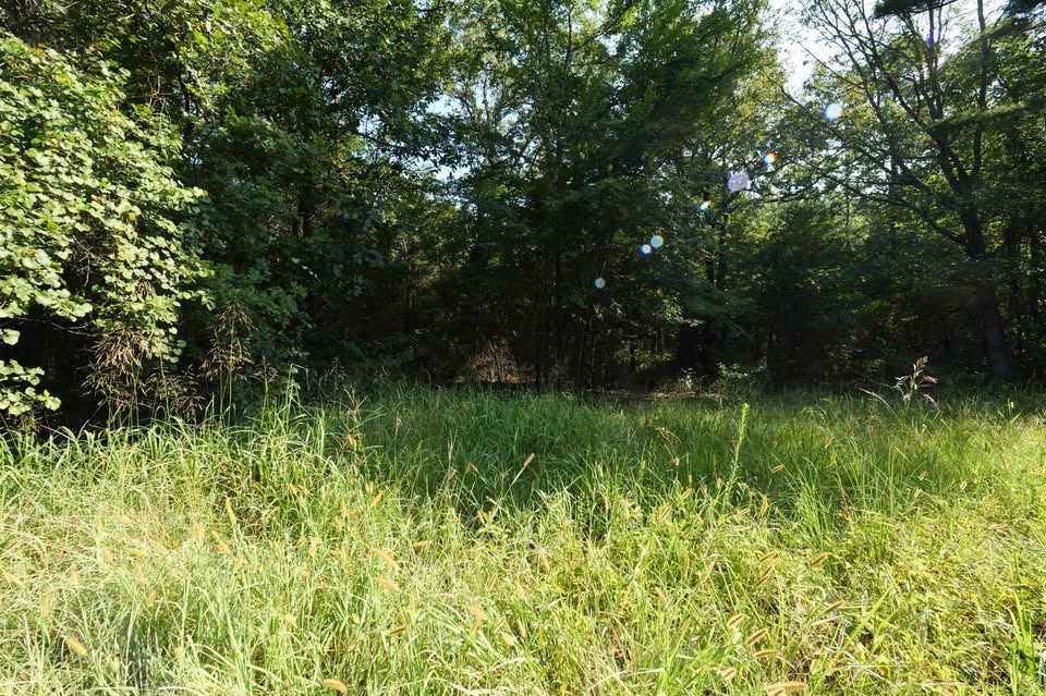 π² 2 Acres in Pope County β Perc Tested & Ready to Build! π