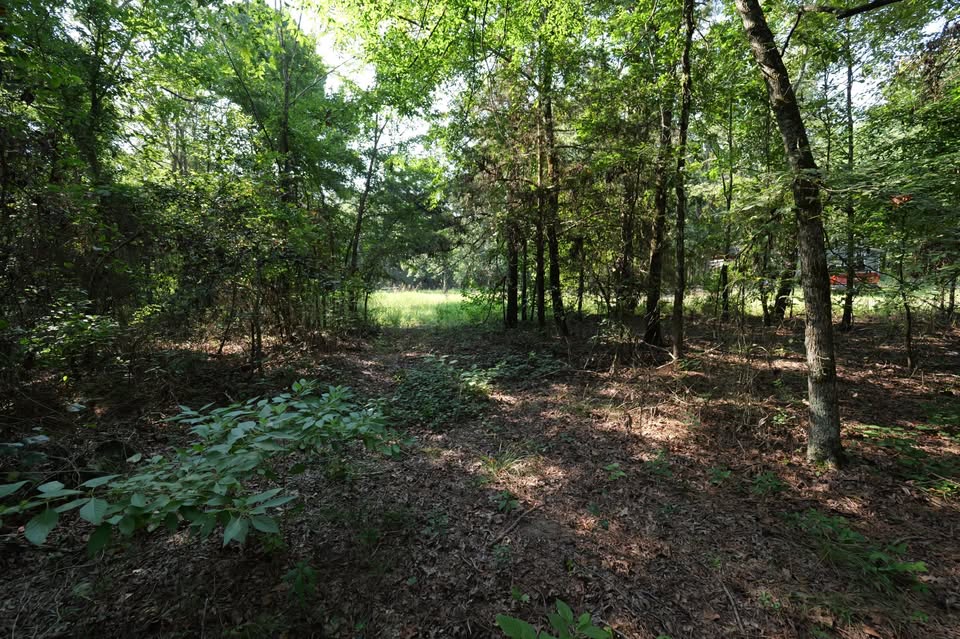 π² 2 Acres in Pope County β Perc Tested & Ready to Build! π