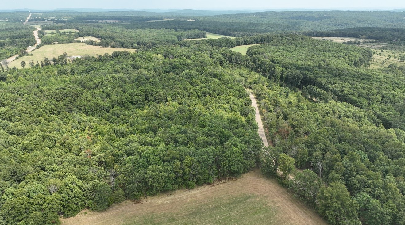 Track 1 Brock Rd — 5.62 acres in Clinton, AR — photo 3