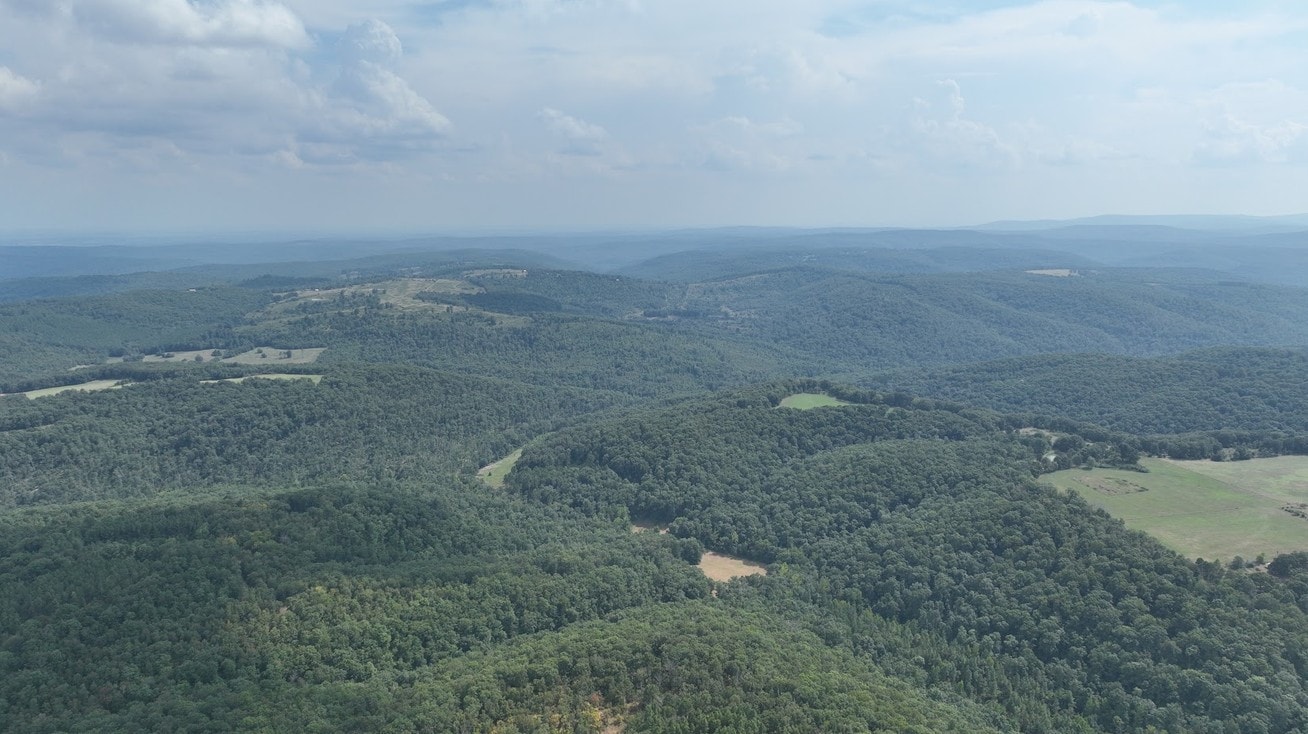 Track 1 Brock Rd — 5.62 acres in Clinton, AR — photo 4