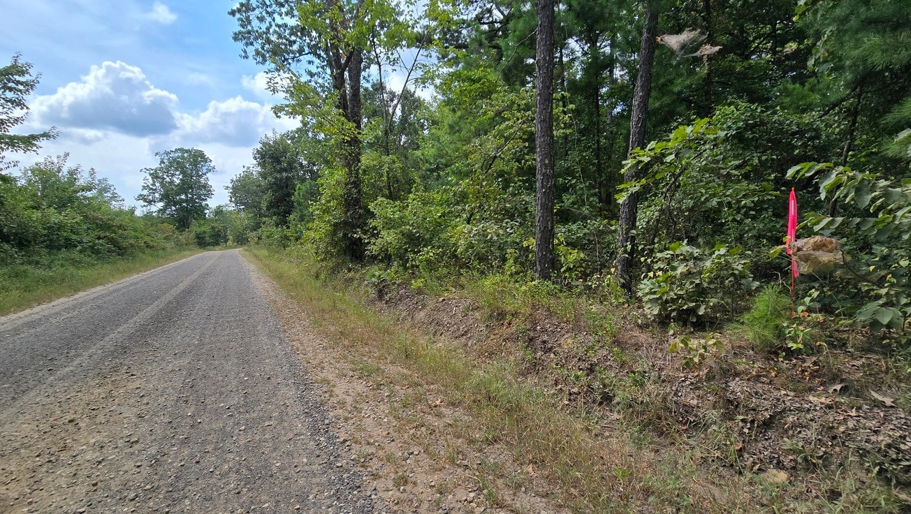 Tract 2 Brock Rd — 6.1 acres in Clinton, AR — photo 3