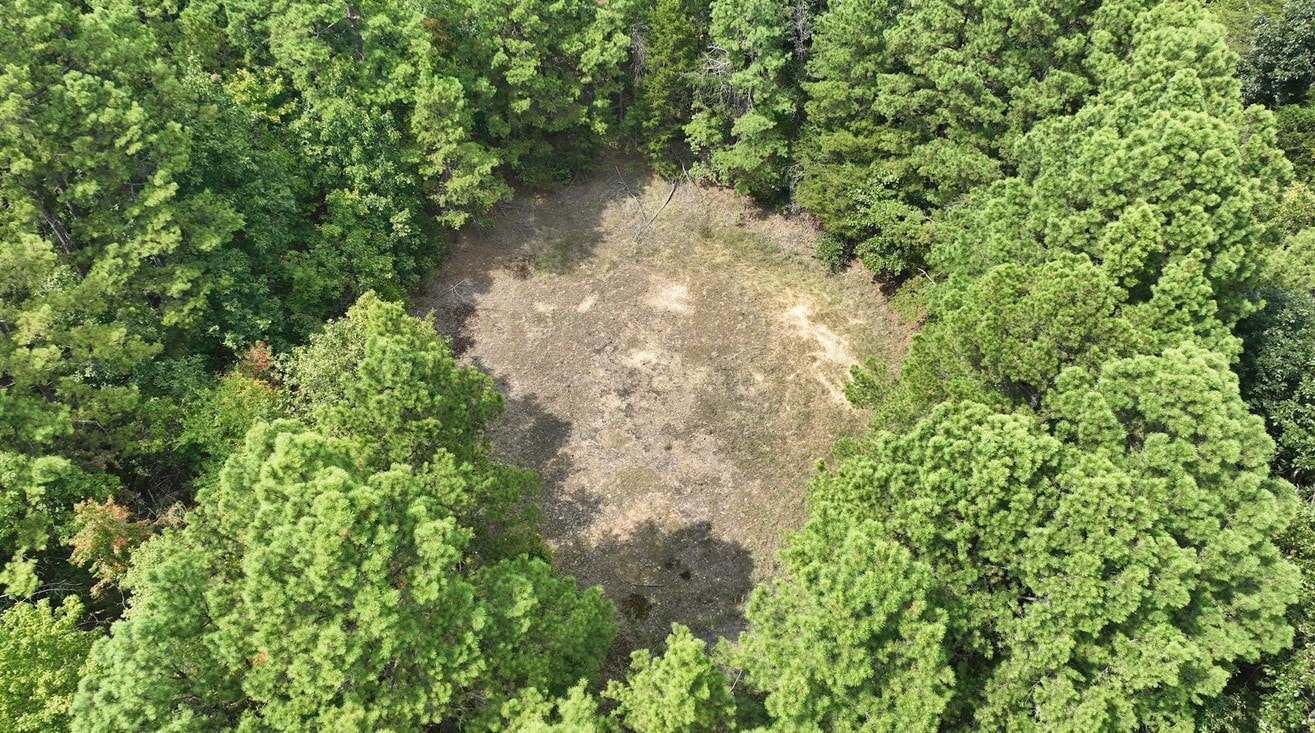 Tract 3 Brock Rd — 6.98 acres in Clinton, AR — photo 3