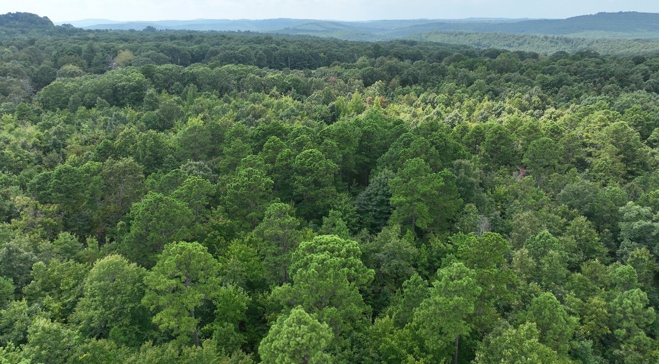 Tract 3 Brock Rd — 6.98 acres in Clinton, AR — photo 5
