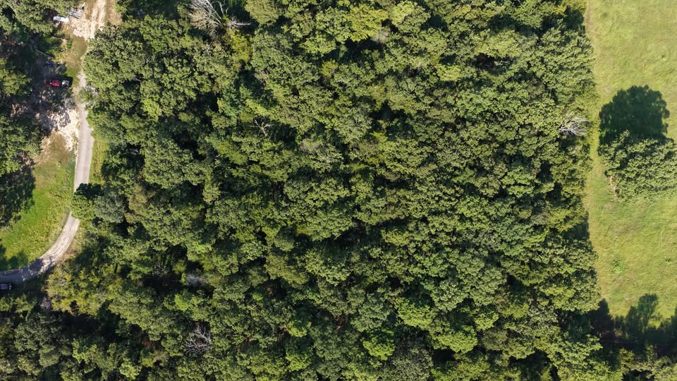 🌲 2 Acres in Pope County – Perc Tested & Ready to Build! 🌄