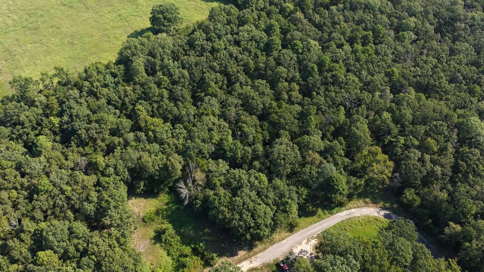🌲 2 Acres in Pope County – Perc Tested & Ready to Build! 🌄